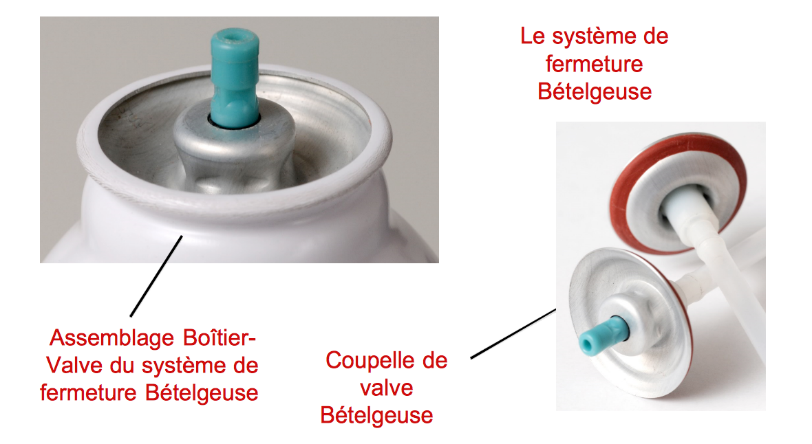 Projet Bételgeuse - Coupelle de valve Bételgeuse